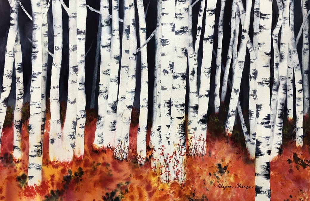 Birch Trees